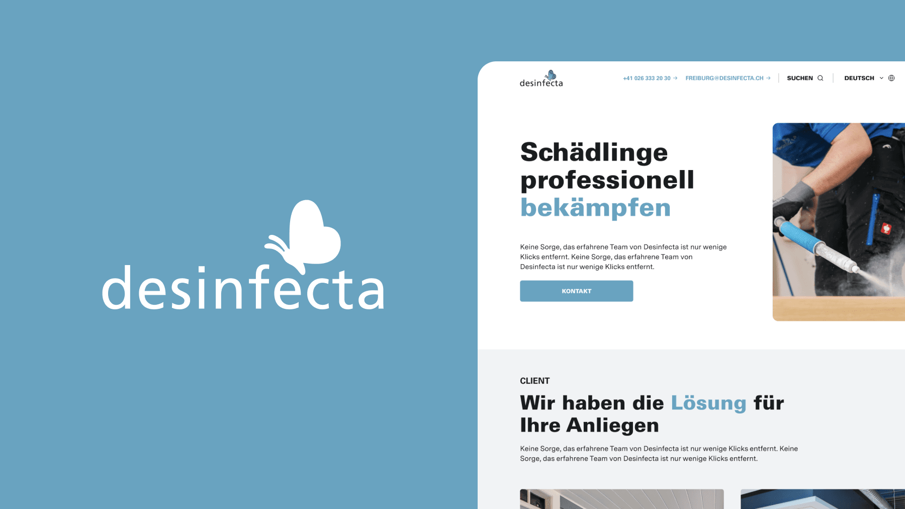 Efficient web solution for Desinfecta: No trace of bugs
